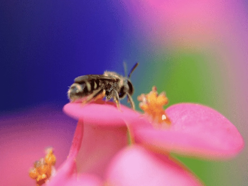试管移植子宫大，试管合同书